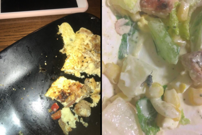 Left: A cockroach found in Grace Lemons omelet

Right: A fly found in Nuanqui Hous salad